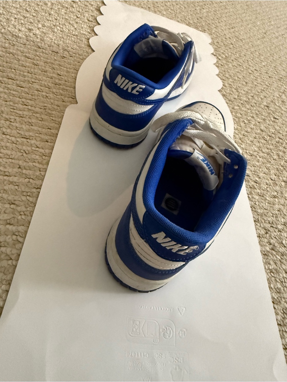 Nike Dunk Low Kentucky Sneakers Size 4Y - Picture 2 of 8